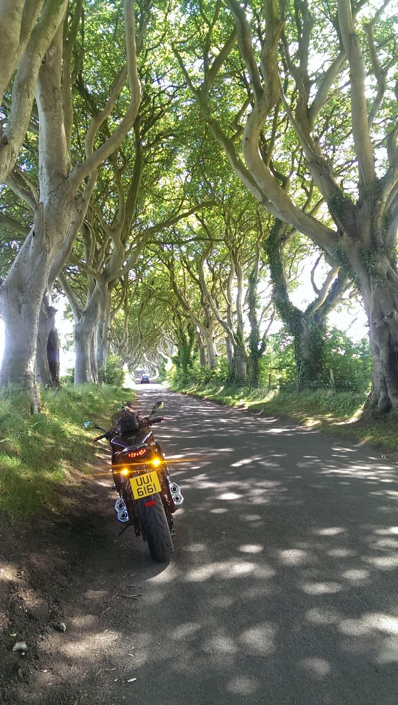 imag0427_21372.jpg