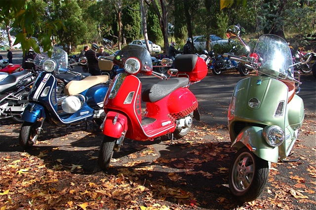 DSC_0391.jpg DSC_0391.jpg