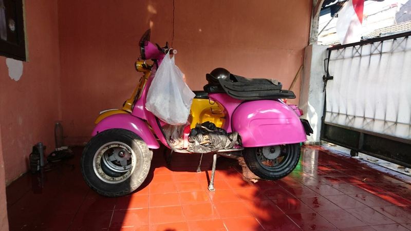 pink 7.jpeg pink 7.jpeg