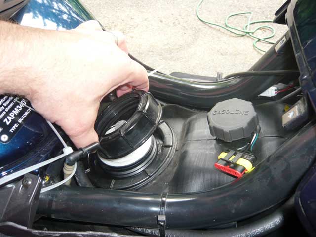 image003.jpg image003.jpg