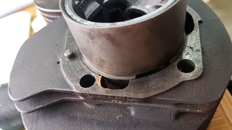 IMG-20190211-WA0048.jpeg IMG-20190211-WA0048.jpeg