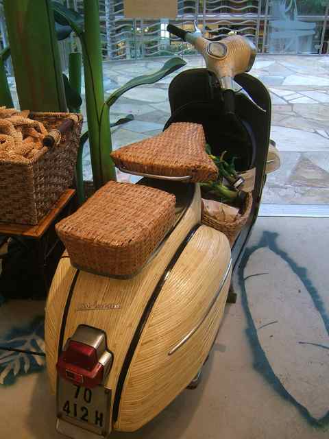 bamboovespa4.jpg bamboovespa4.jpg