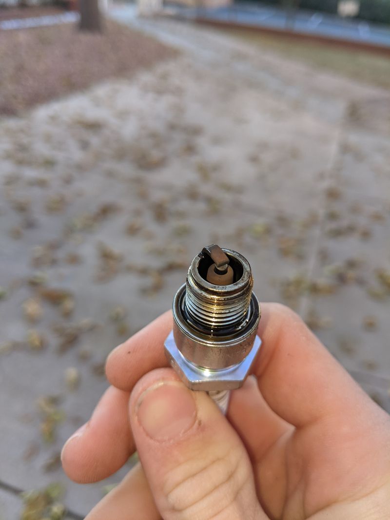 Forum member supplied image with no explanatory text