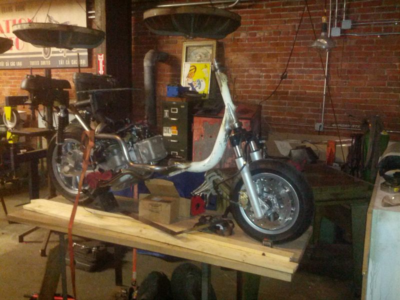 Forum member supplied image with no explanatory text
