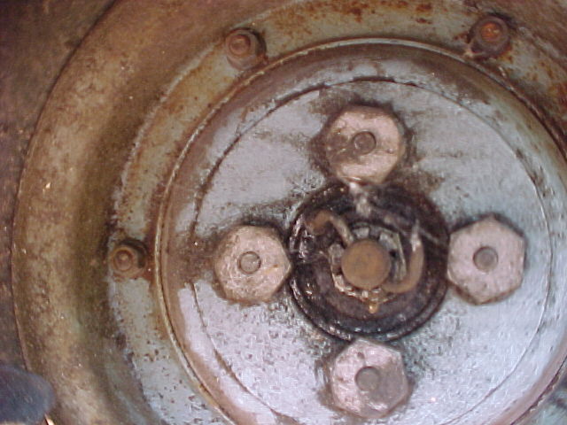 Forum member supplied image with no explanatory text