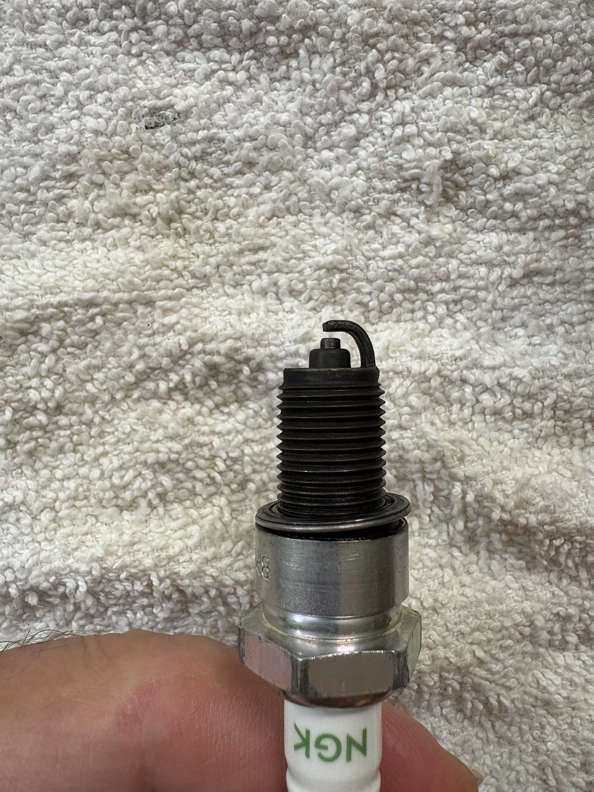 Forum member supplied image with no explanatory text