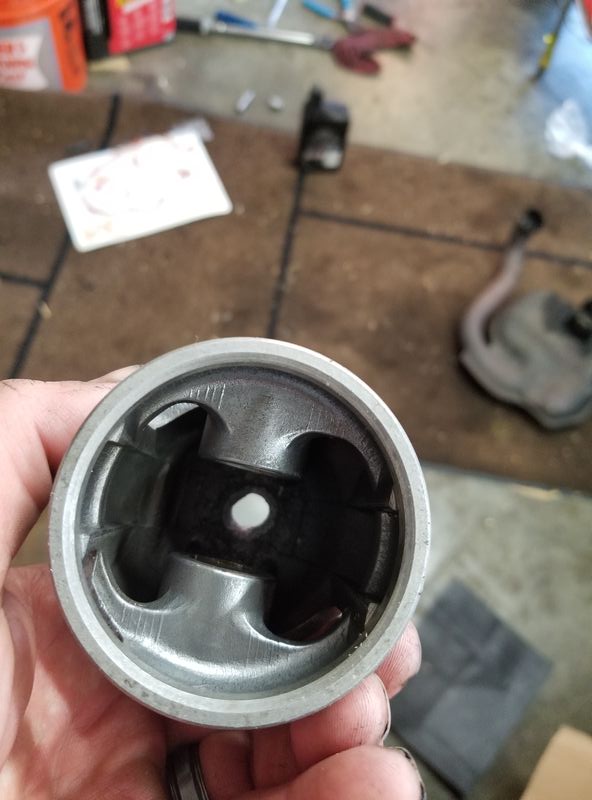 Forum member supplied image with no explanatory text