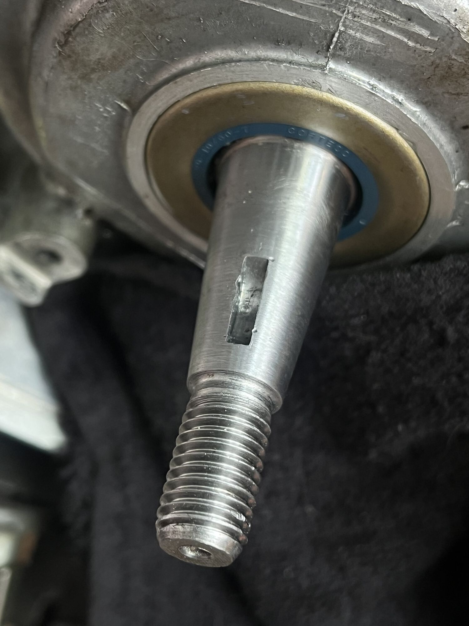Forum member supplied image with no explanatory text