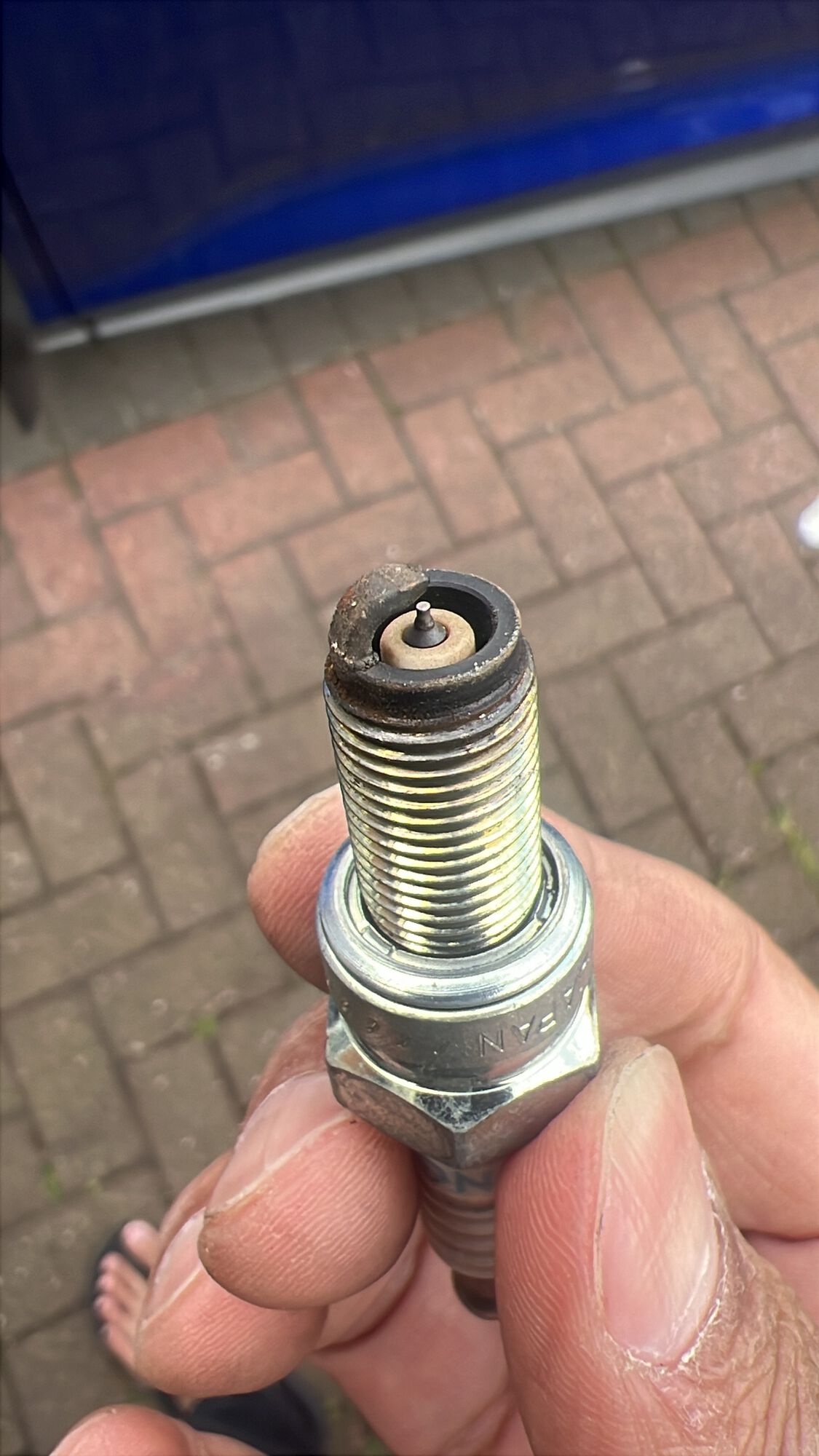 Forum member supplied image with no explanatory text