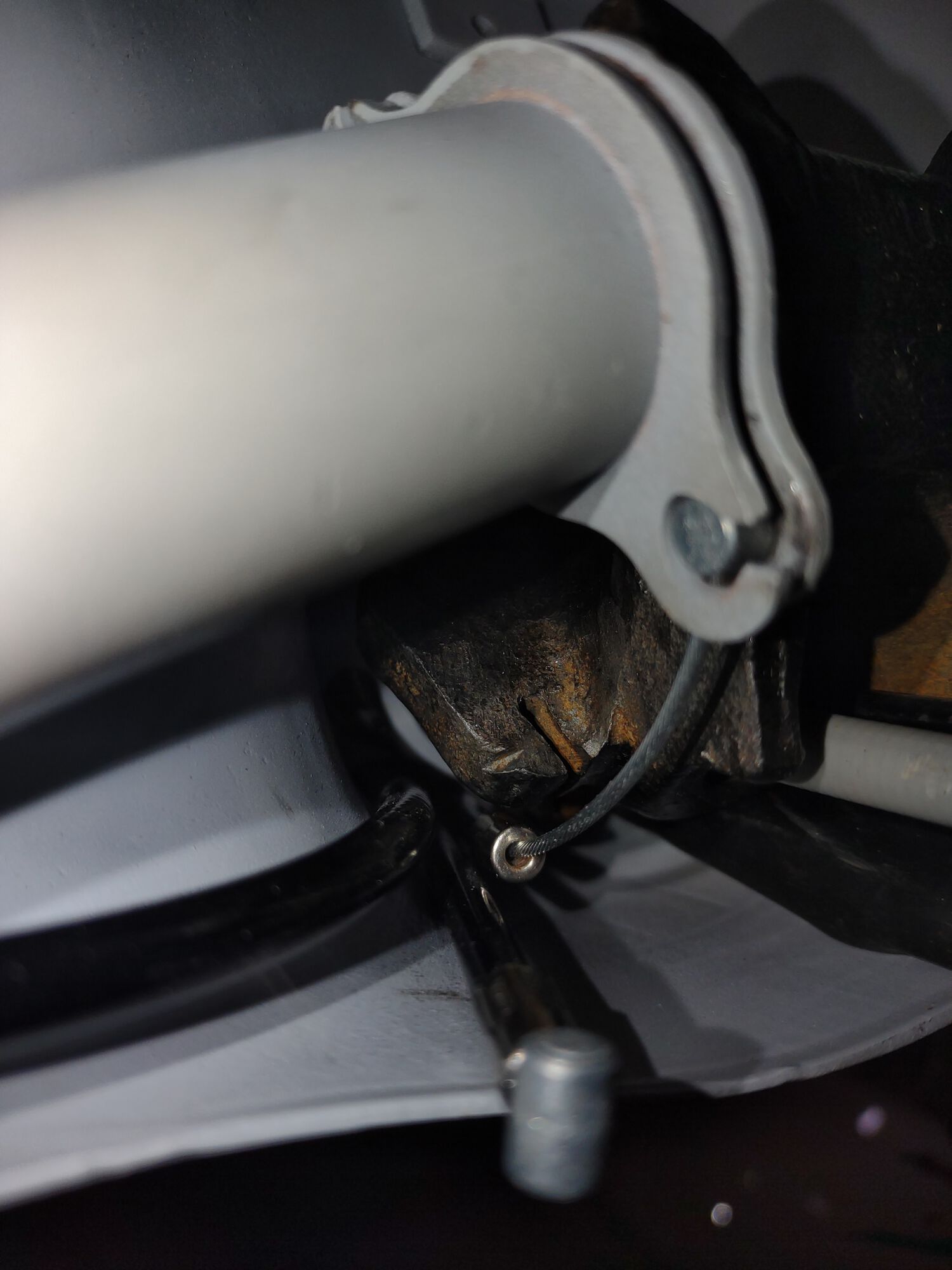 Forum member supplied image with no explanatory text