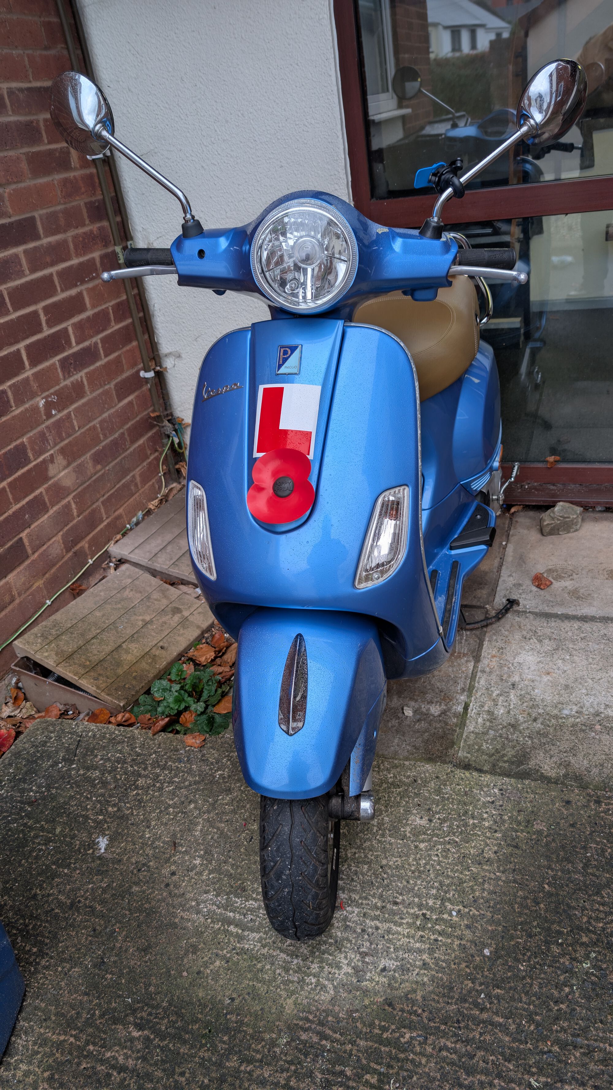 Forum member supplied image with no explanatory text