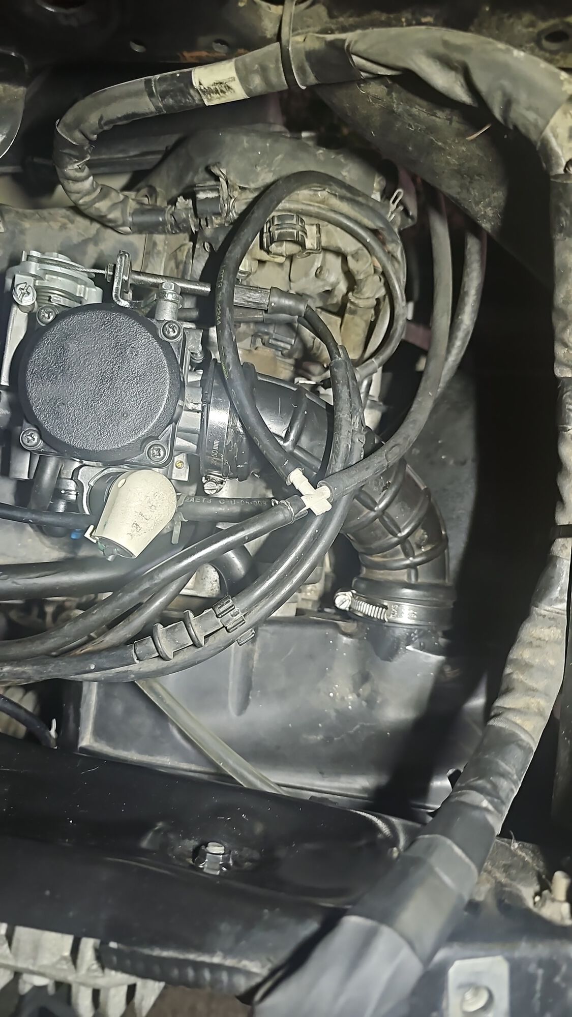 Forum member supplied image with no explanatory text