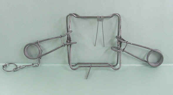 Forum member supplied image with no explanatory text