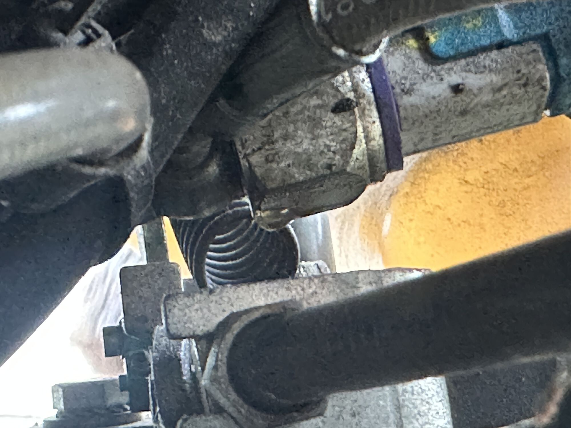 Forum member supplied image with no explanatory text