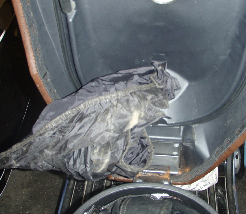 Forum member supplied image with no explanatory text