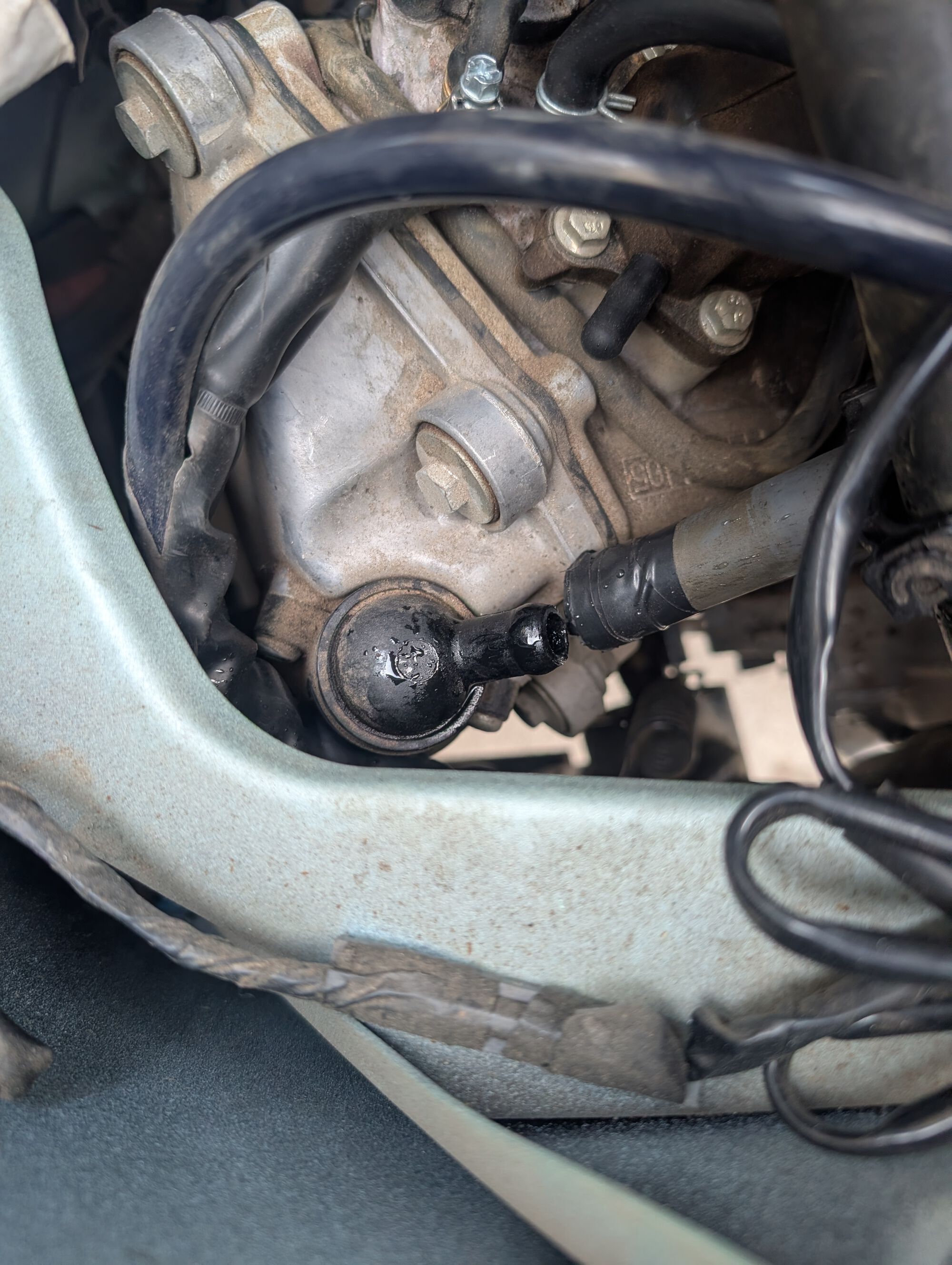 Forum member supplied image with no explanatory text