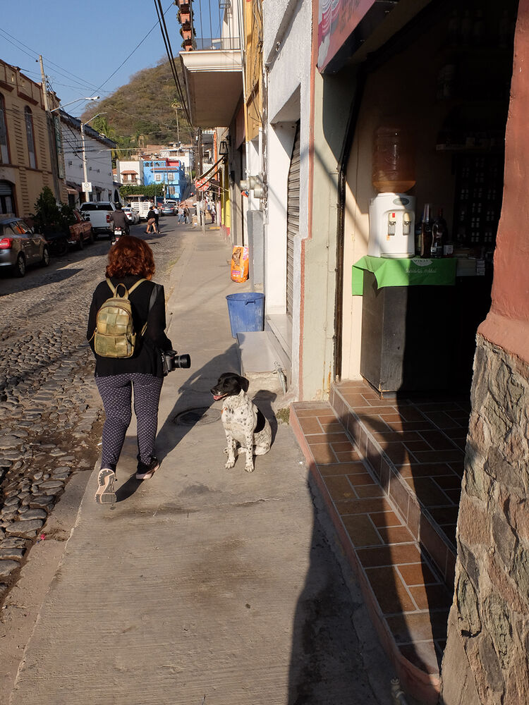 Off To the Bus Station: With the minimum five dogs along the way to greet us.