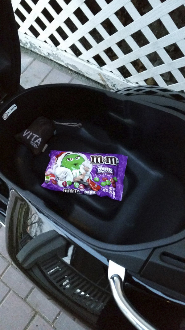 Melts in your mouth...not in the Pet Carrier?