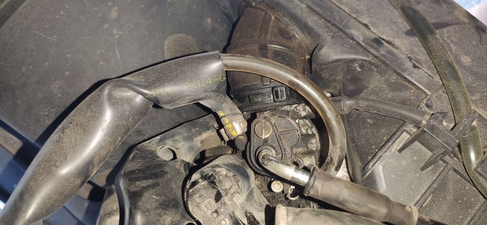 Forum member supplied image with no explanatory text