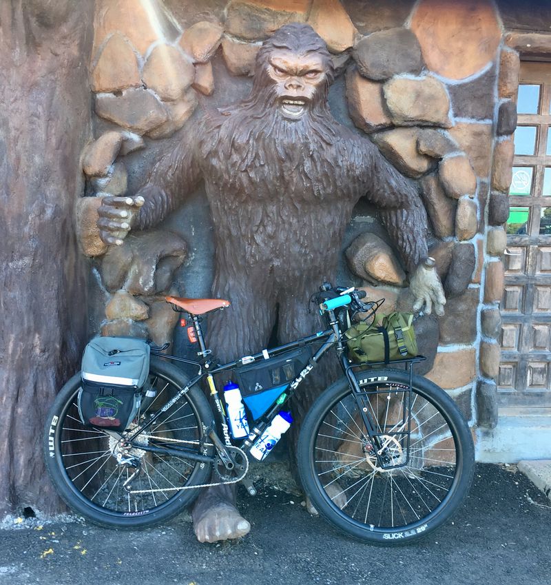 Forum member supplied image with no explanatory text