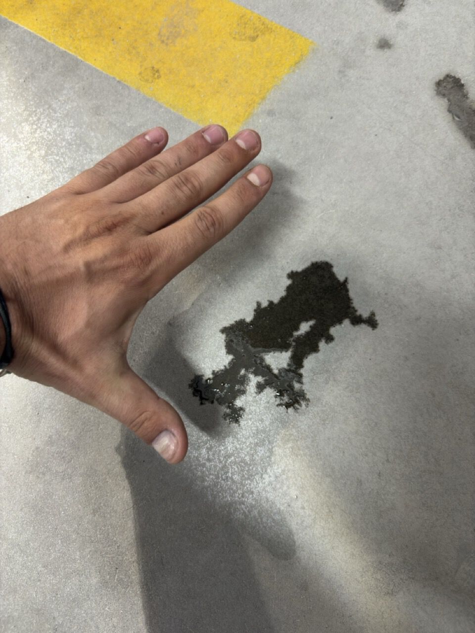 Forum member supplied image with no explanatory text