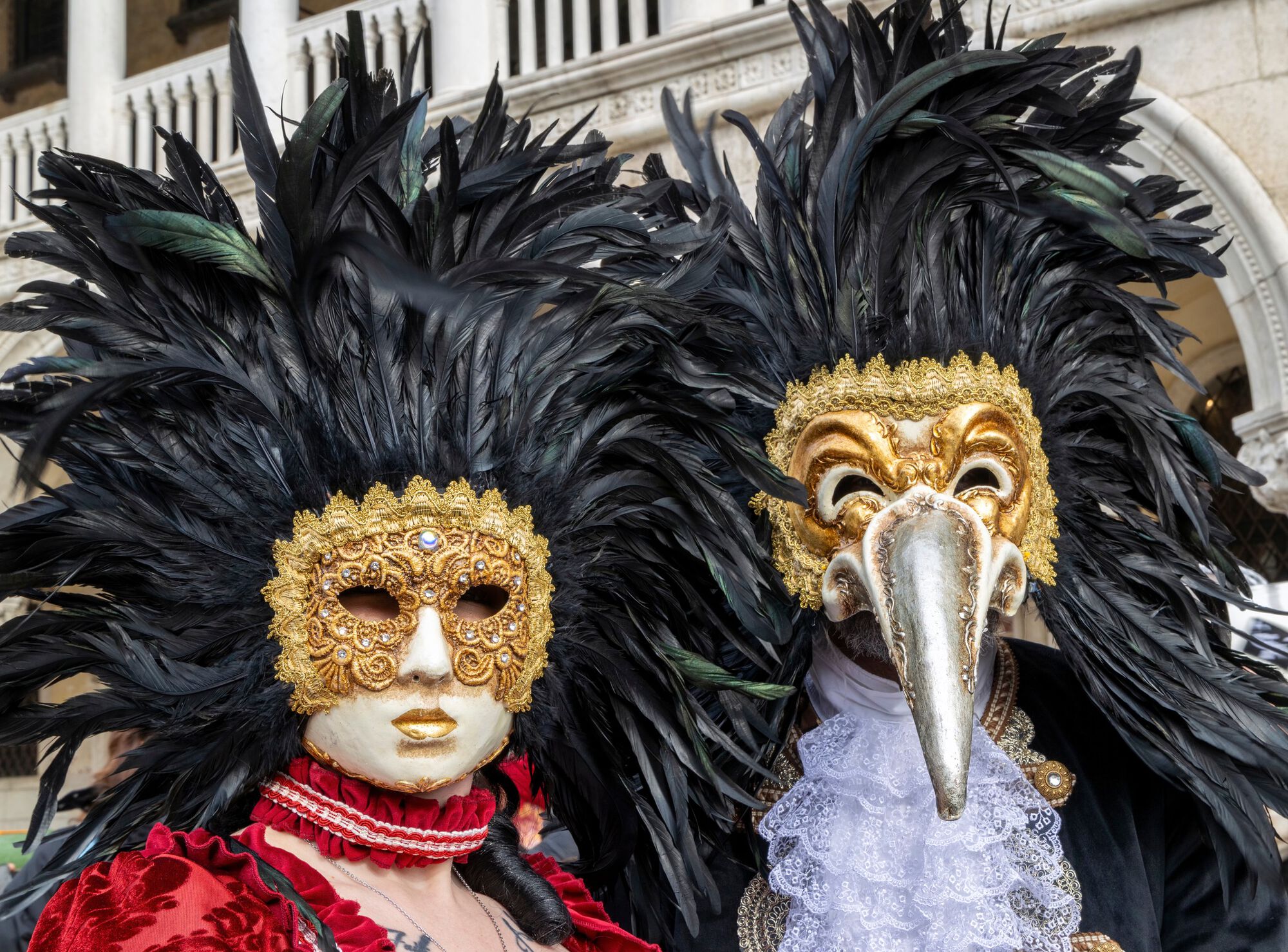 Most professional headshot I've ever had.