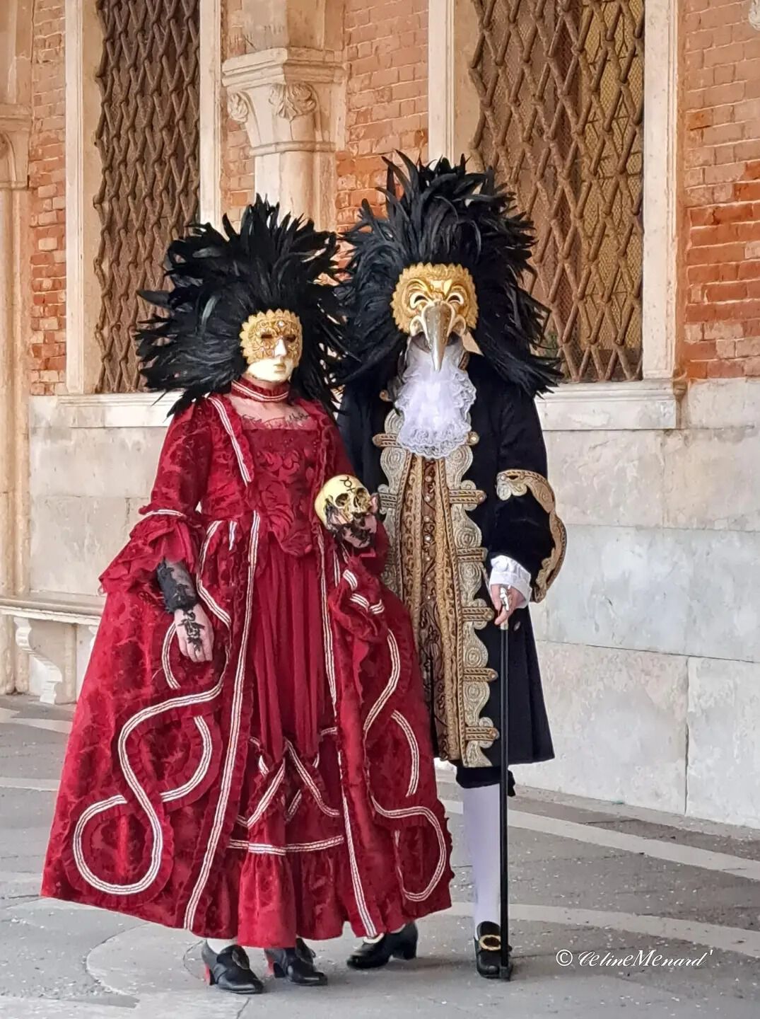 Forum member supplied image with no explanatory text