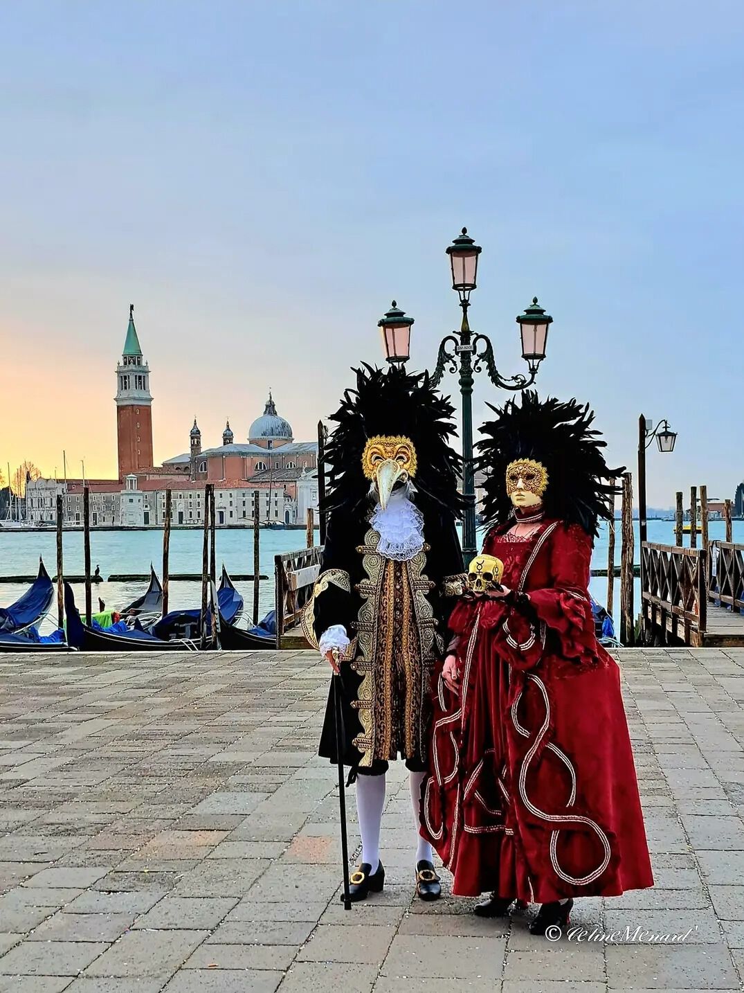 Forum member supplied image with no explanatory text