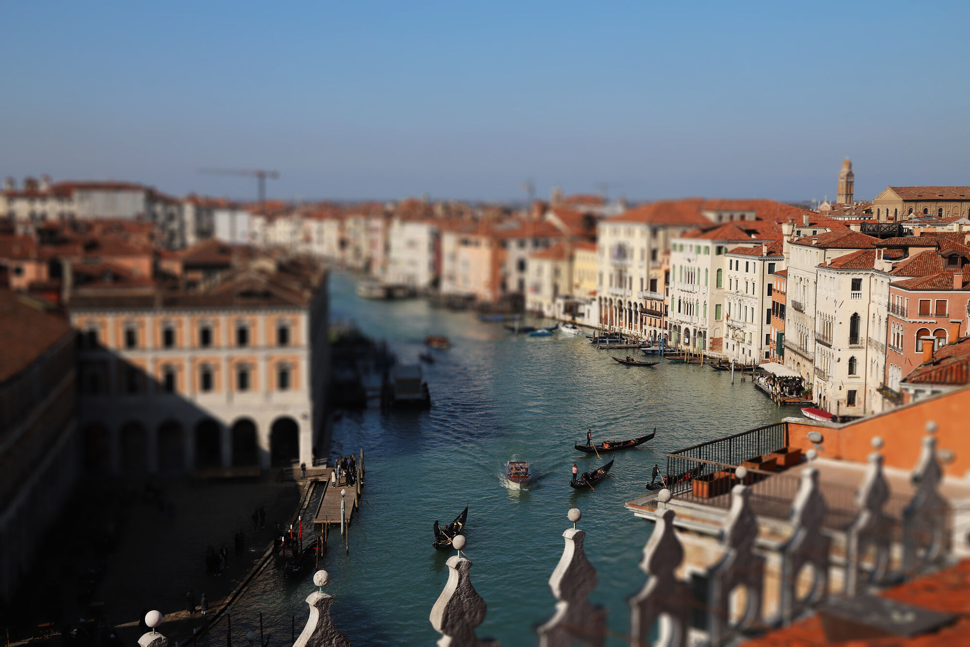 Forum member supplied image with no explanatory text