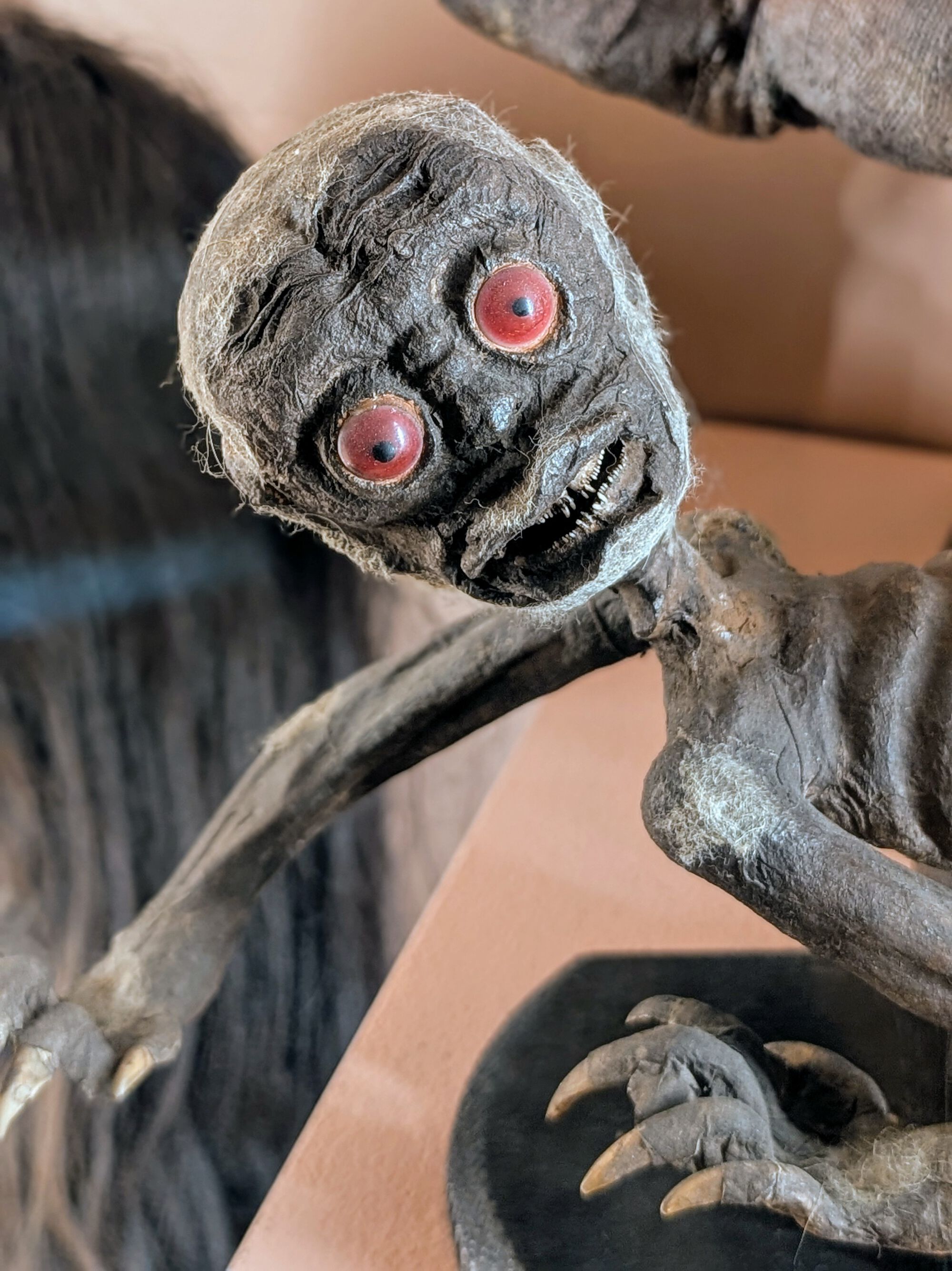 Forum member supplied image with no explanatory text