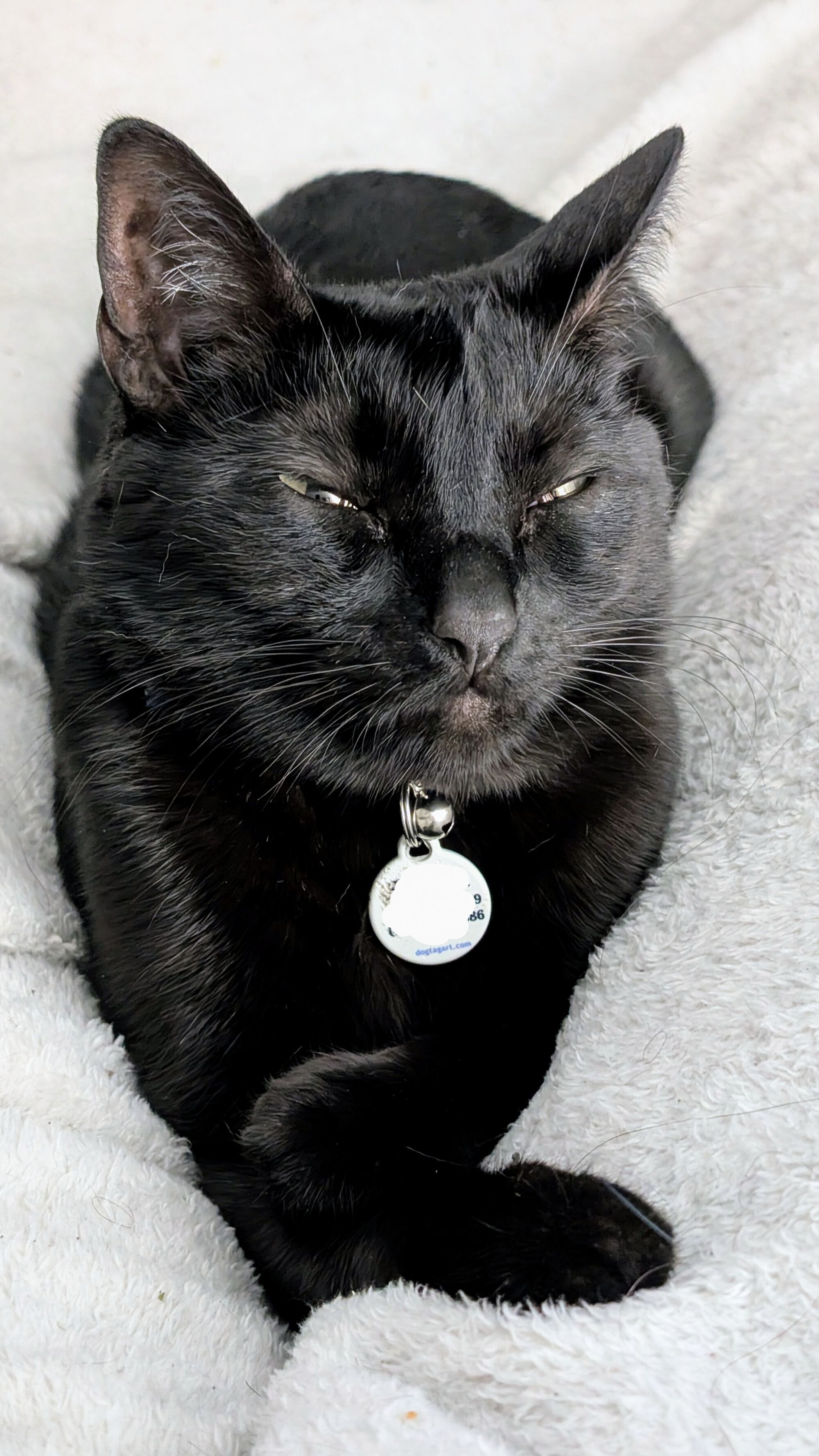 Forum member supplied image with no explanatory text