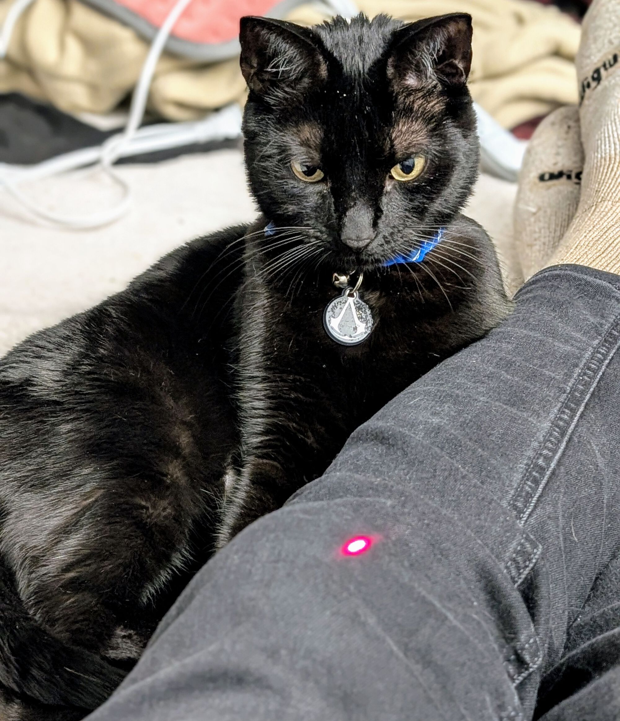 Forum member supplied image with no explanatory text