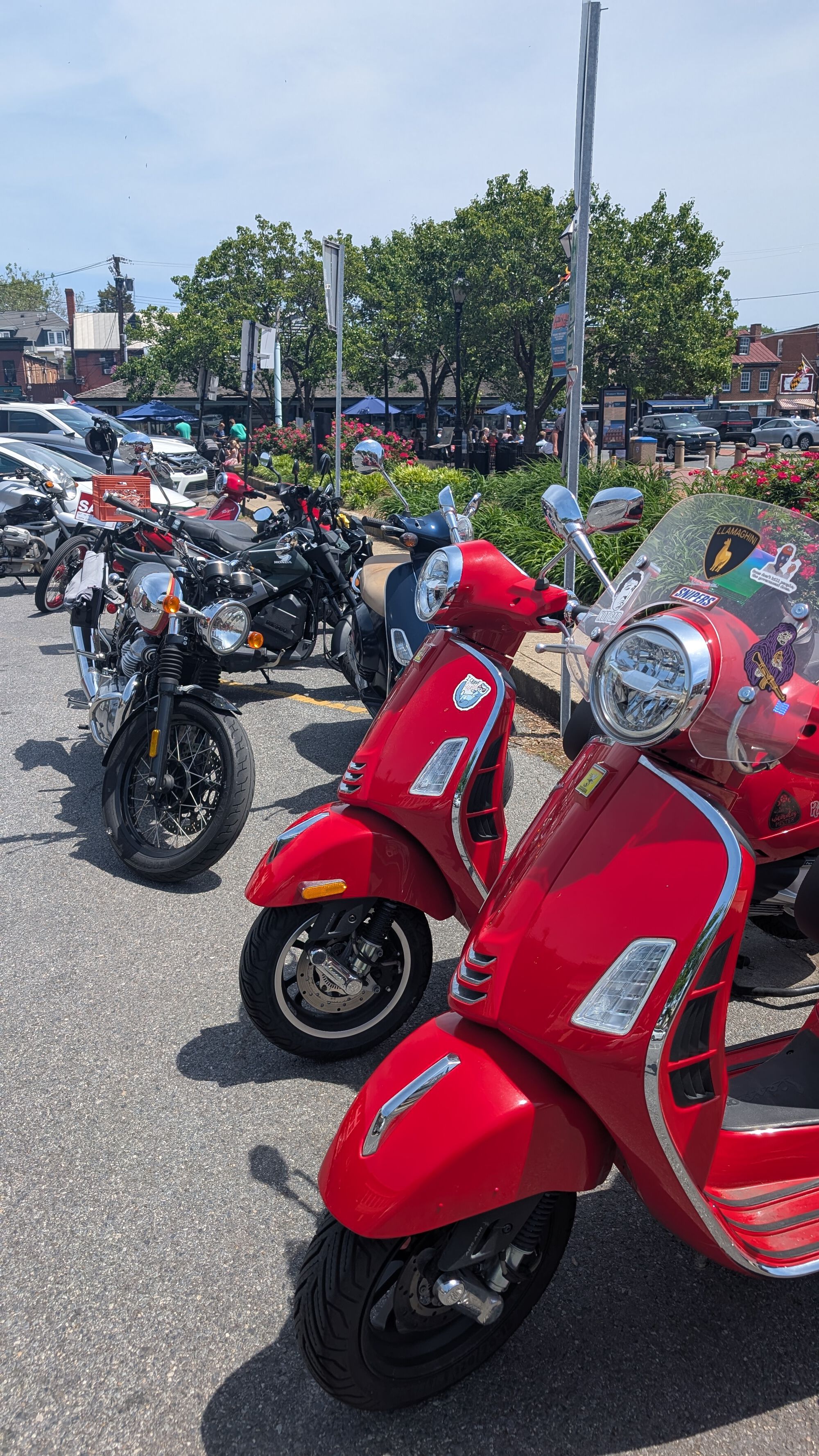 Forum member supplied image with no explanatory text