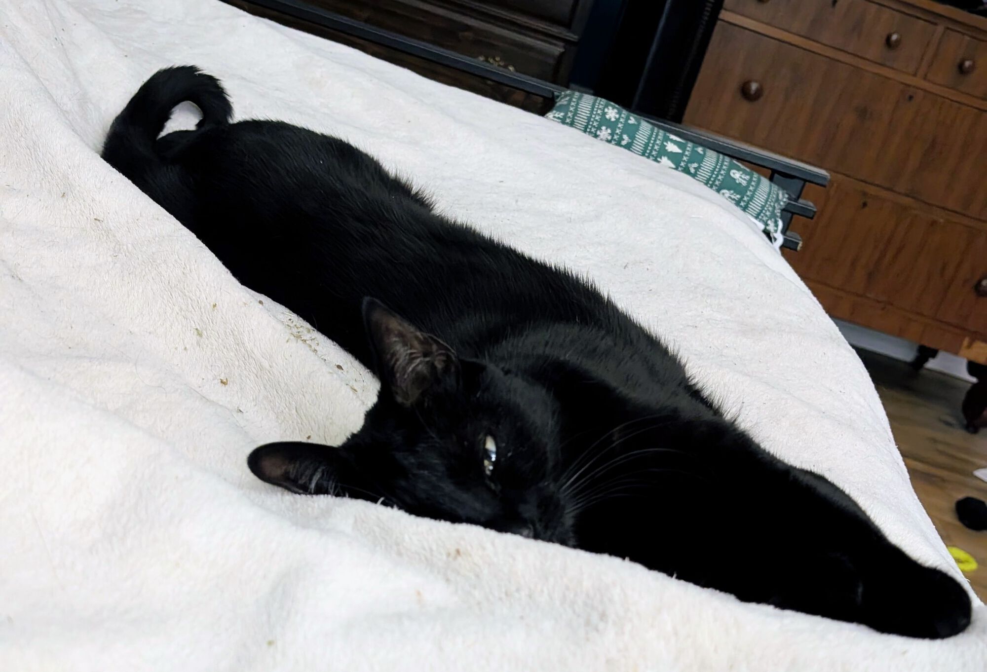 Forum member supplied image with no explanatory text