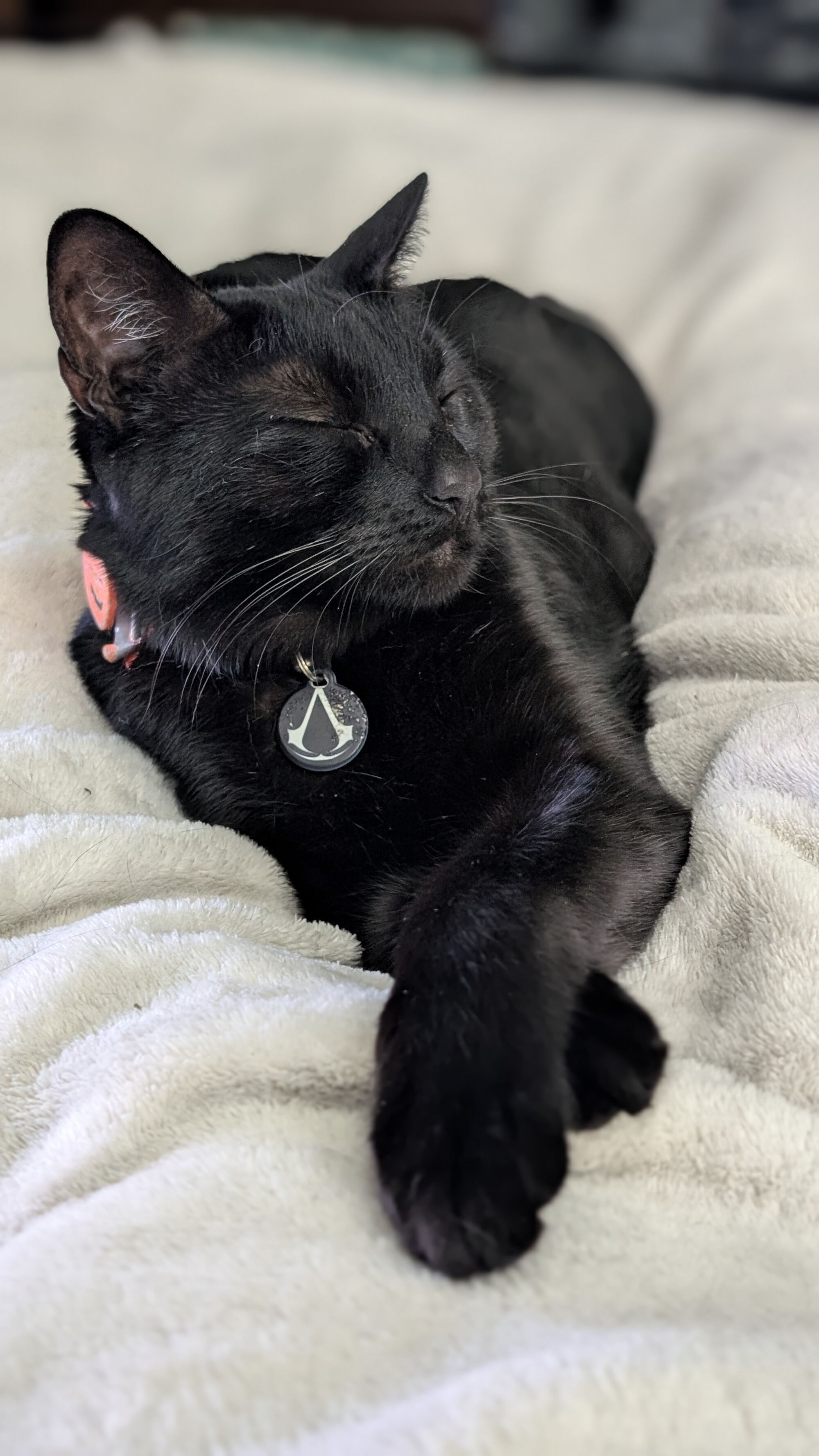 Forum member supplied image with no explanatory text