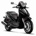 @asylodus_rex avatar