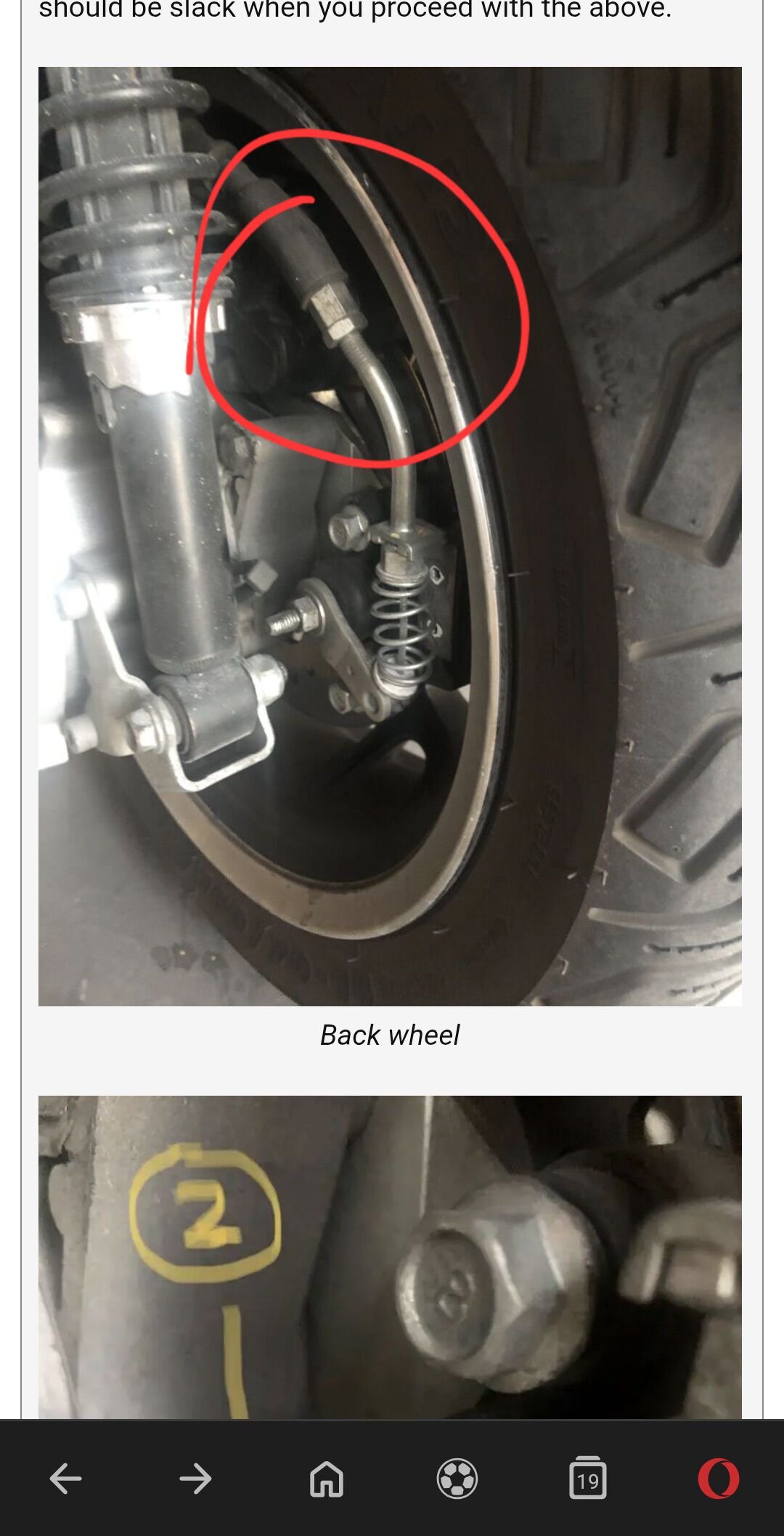Forum member supplied image with no explanatory text