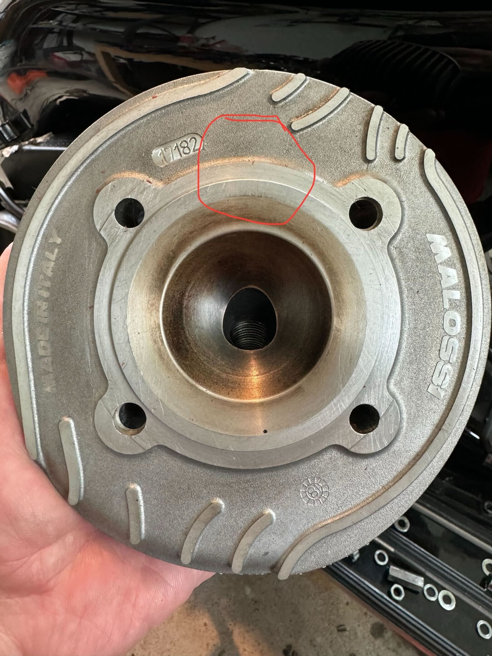 Forum member supplied image with no explanatory text