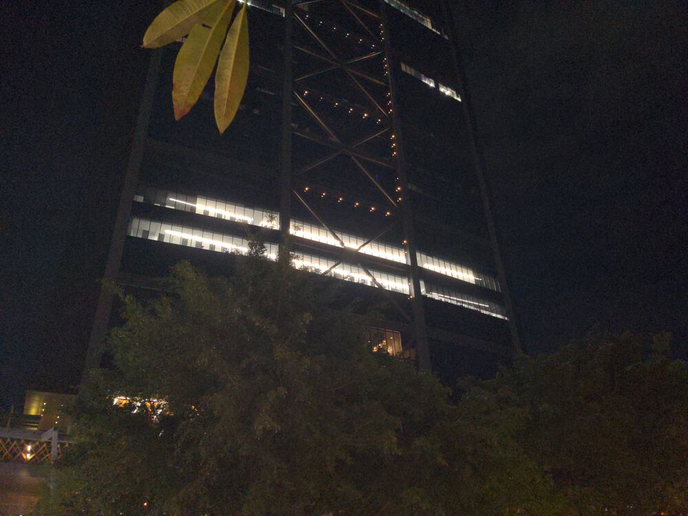 My allthing for the last nineteen days.