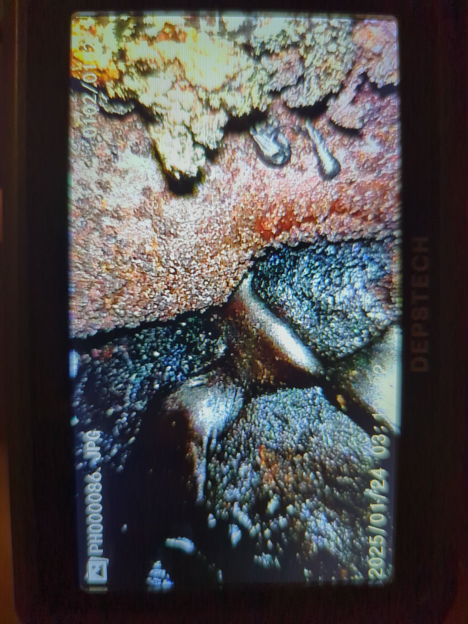 If Kartchner Caverns and The LaBrea Tar Pits joined forces...