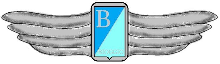 It's painted about as well as a handcrafted SEA scoot...