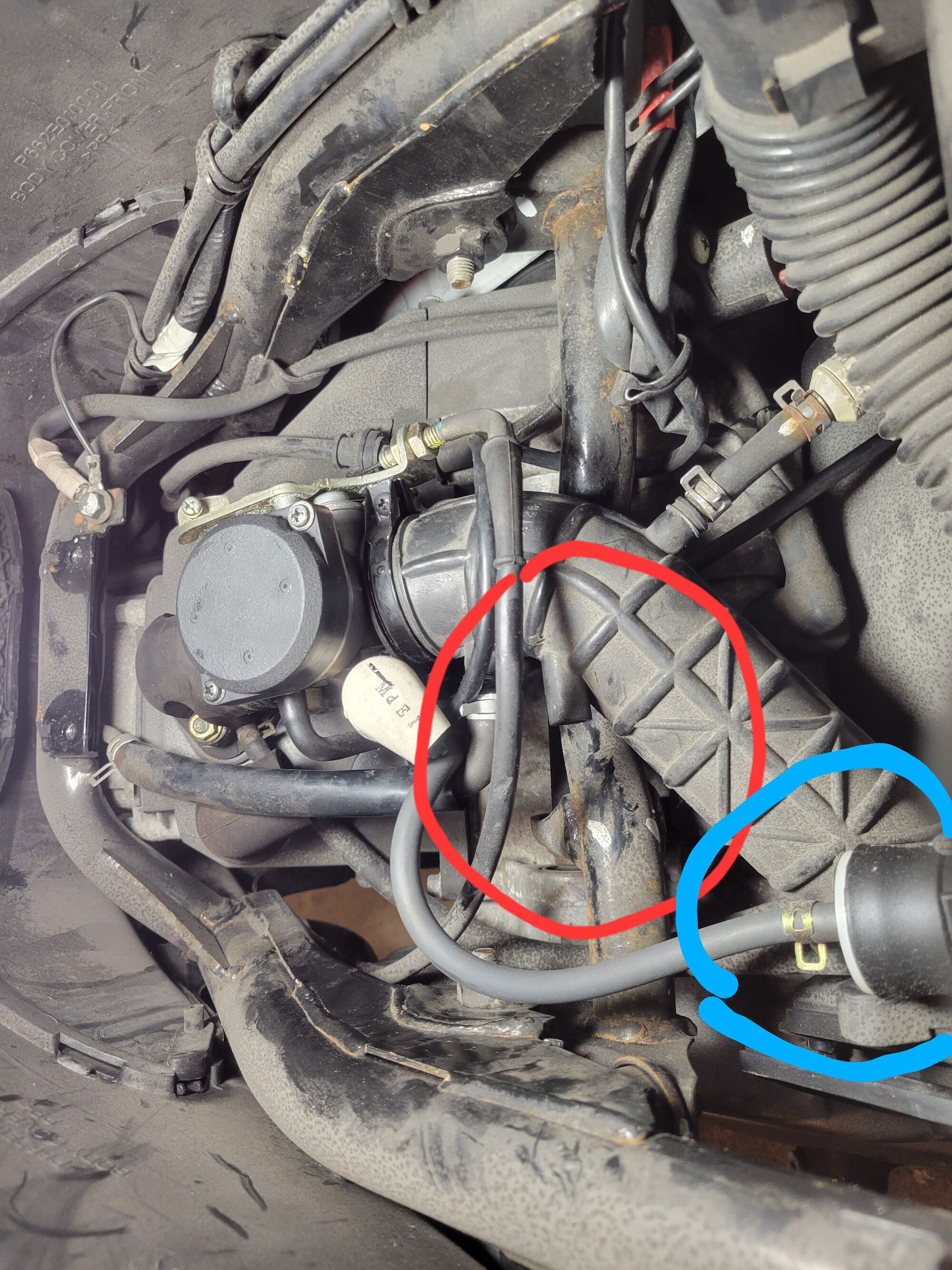 Forum member supplied image with no explanatory text