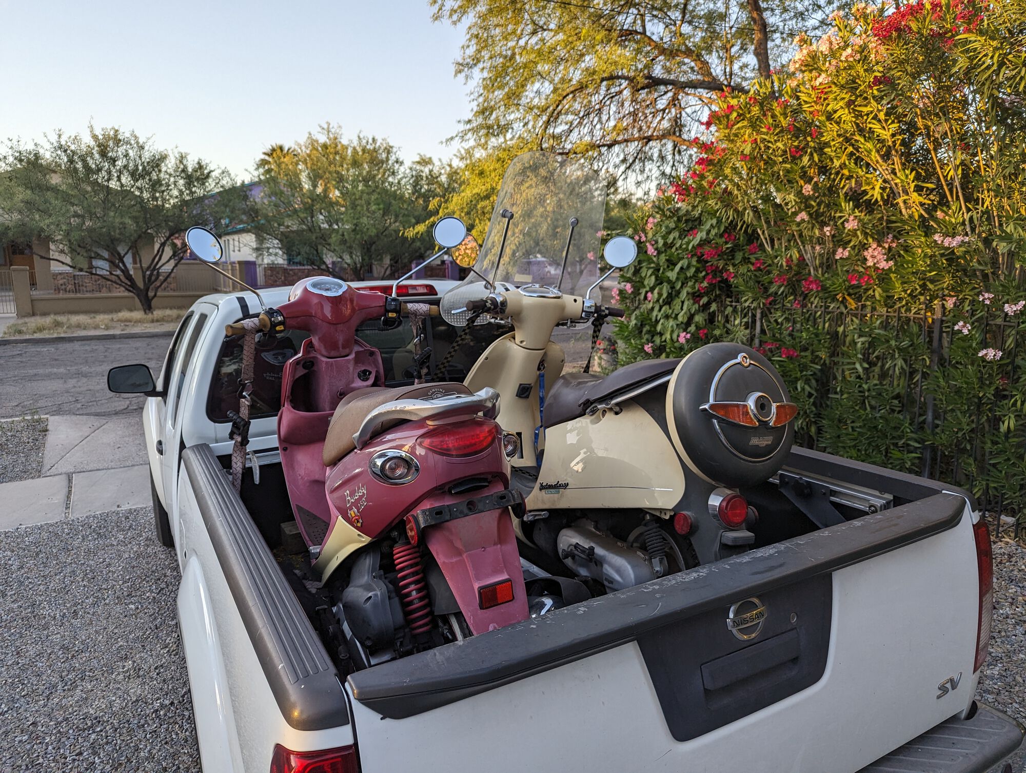 Picked up two mopads tonight for the same price. '09 Buddy 150 Pamplona and an '00 Malaguti Yesterday.