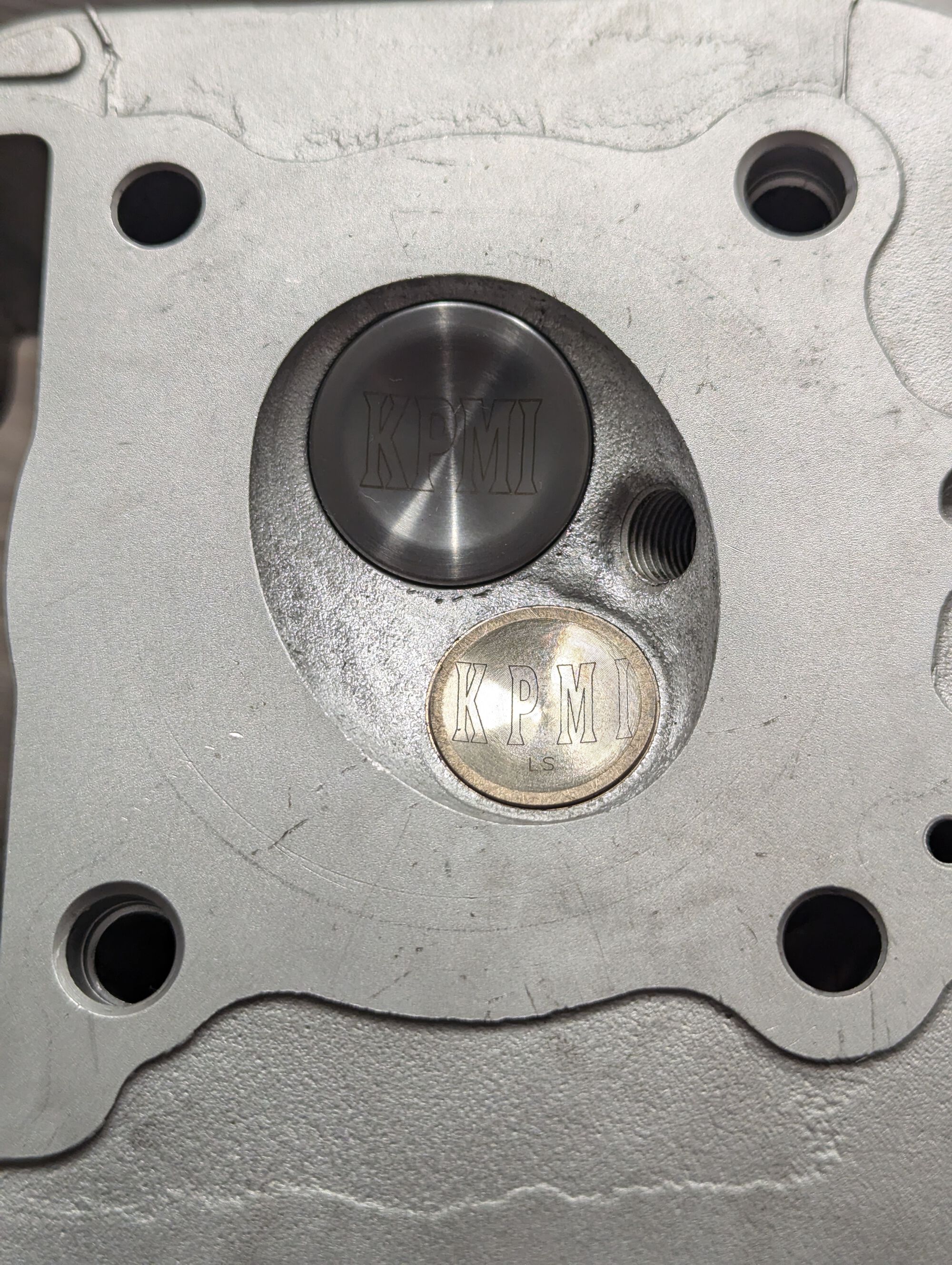 Modified Kibblewhite valves. I think I may need to have the exhaust remade.