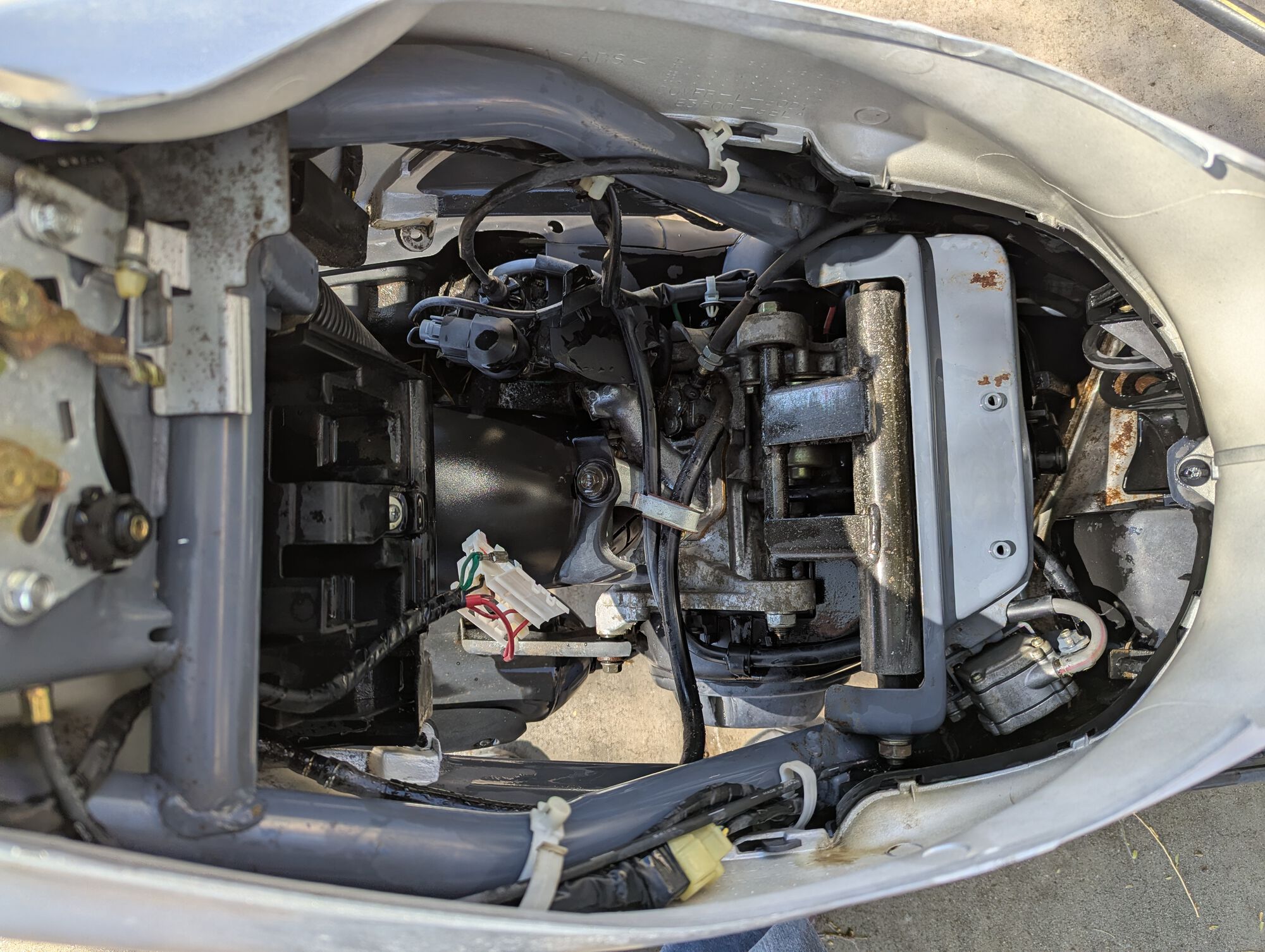 Engine bay after cleaning.