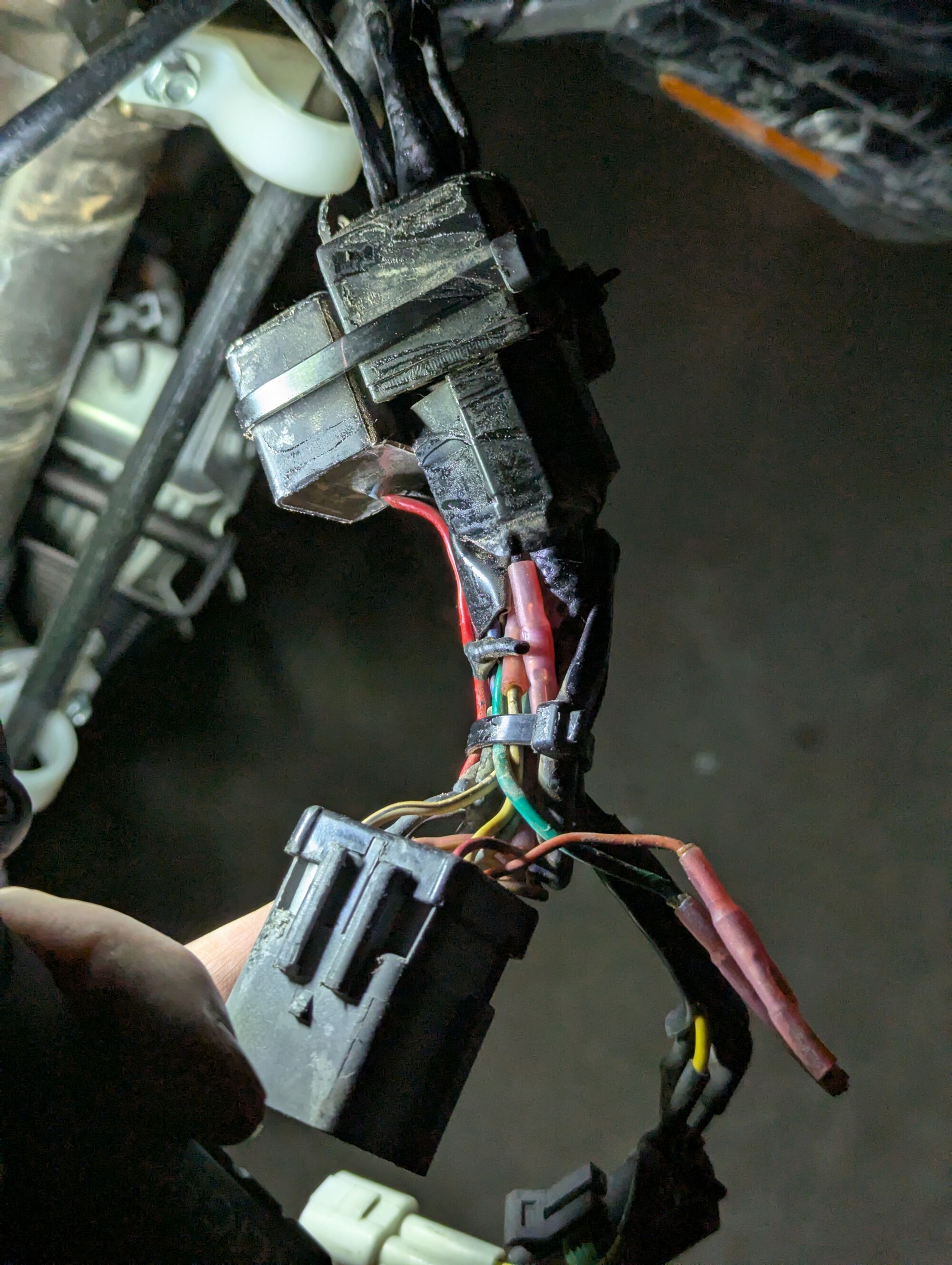 Forum member supplied image with no explanatory text