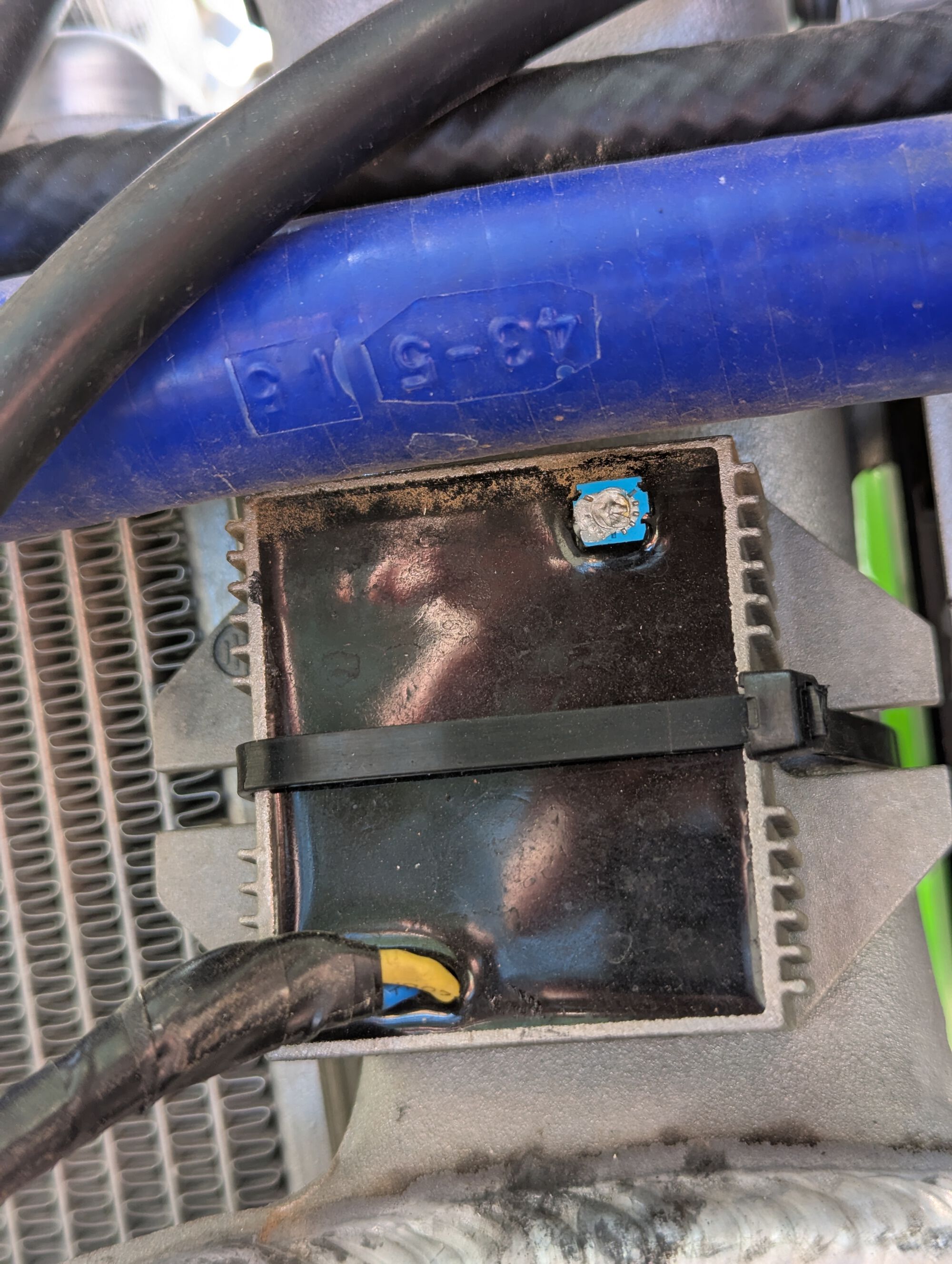 This looks like a regulator to me, but why would it have an exposed pot?