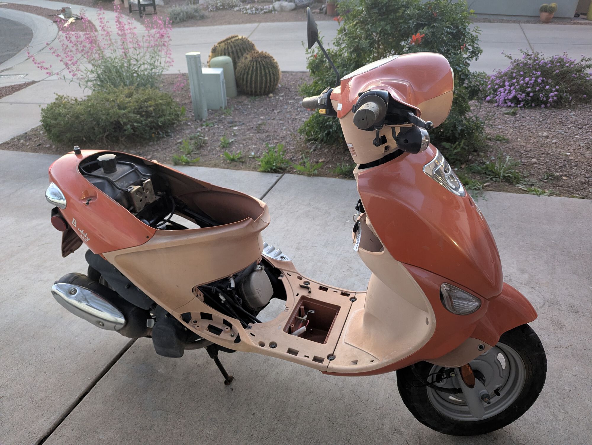 Free puppy, or a trap?

I've already cleaned the carb and the tank. It has a good chance of being a runner with an oil and filter change, a valve adjustment and a new air filter.

And yes, I need to weed my yard...