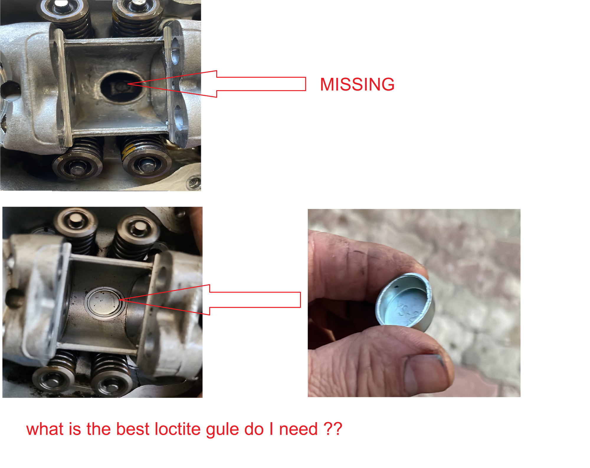 Forum member supplied image with no explanatory text