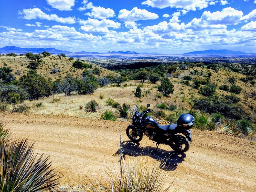 Forum member supplied image with no explanatory text